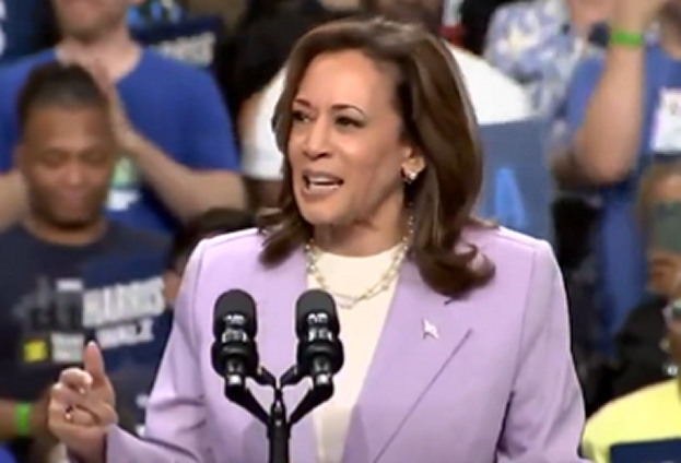 “we’re-going-to-walk-into-that-home”-–-breaking:-kamala-harris-once-vowed-to-forcibly-enter-homes-to-check-how-legal-gun-owners-store-firearms-(video)