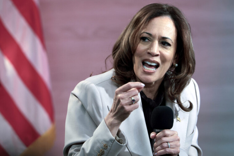 kamala’s-approval-rating-among-crucial-voting-bloc-underwater-by-25-points:-poll