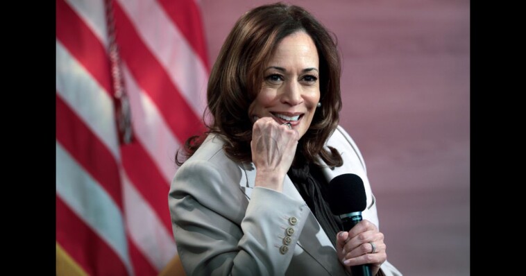 kamala-harris-uses-‘malicious-disinformation’-in-attempt-to-score-political-points-off-of-woman’s-death