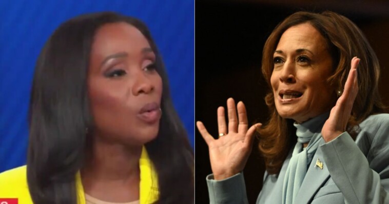 watch:-cnn-host-forced-to-call-out-kamala-harris-live-on-air,-fact-checks-her-in-front-of-chaotic-panel