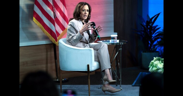 kamala-harris-acts-friendly-to-firearms-–-but-if-you-have-this-in-the-gun-safe-she’s-already-confirmed-you’re-a-valid-target