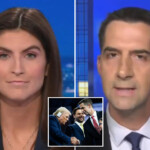 sen.-tom-cotton-and-cnn’s-kaitlan-collins-clash-over-ivf:-‘you’re-not-going-to-stop-me-there!’