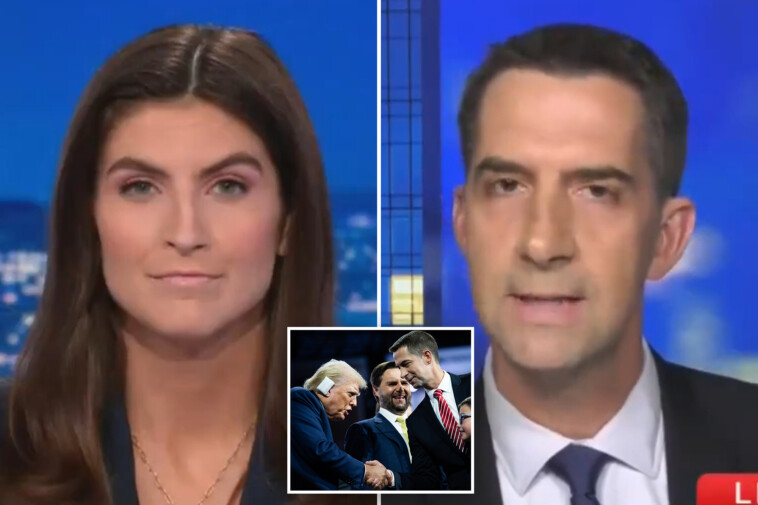 sen.-tom-cotton-and-cnn’s-kaitlan-collins-clash-over-ivf:-‘you’re-not-going-to-stop-me-there!’