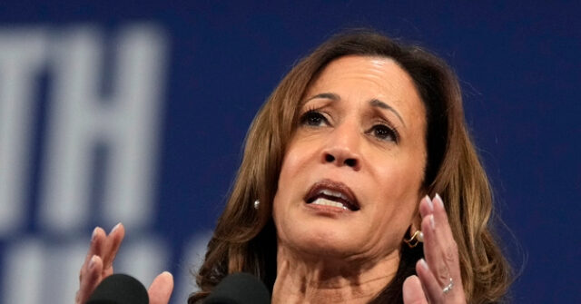 harris-campaign:-‘tough-to-define’-‘price-gouging’-she-wants-to-ban