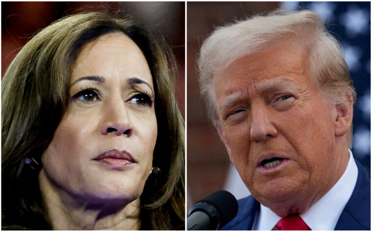 kamala-harris-leads-donald-trump-in-these-critical-blue-wall-battleground-states:-poll