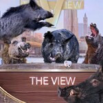 no-one-notices-as-entire-cast-of-‘the-view’-replaced-with-shrieking-feral-pigs