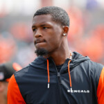 bengals-wr-tee-higgins-returning-to-practice-thursday-after-dealing-with-hamstring-injury