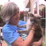 fearless-cat-travels-1,000-miles-back-to-owners’-calif.-home-after-going-missing-in-yellowstone