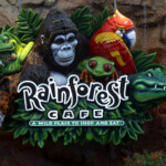 nyc’s-first-rainforest-cafe-to-open-at-the-empire-state-building-— but-there’s-a-catch