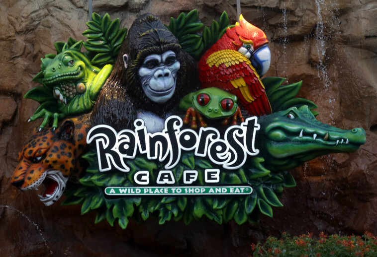 nyc’s-first-rainforest-cafe-to-open-at-the-empire-state-building-— but-there’s-a-catch