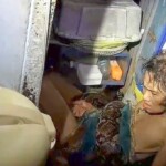 huge-python-grabs-thai-woman-as-she’s-doing-dishes,-squeezes-her-for-two-hours