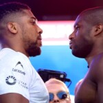 ‘gladiator’-joshua-weighs-in-heavier-than-dubois