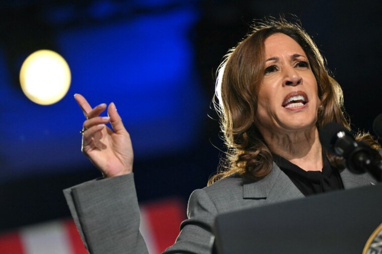 kamala-harris-uses-debunked-abortion-death-story-to-attack-trump,-rally-dems-in-georgia