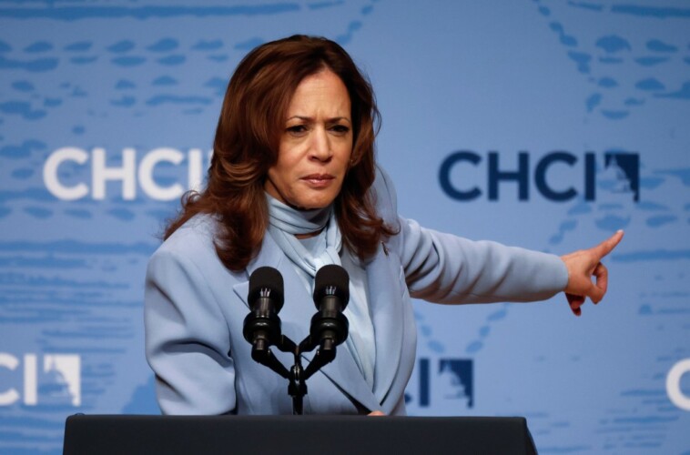 kamala-harris’-tax-plan-would-cost-nearly-800k-jobs:-analysis