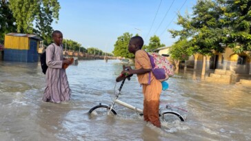 deadly-flooding-in-africa-leaves-corpses-of-crocodile,-snakes-floating-among-human-bodies