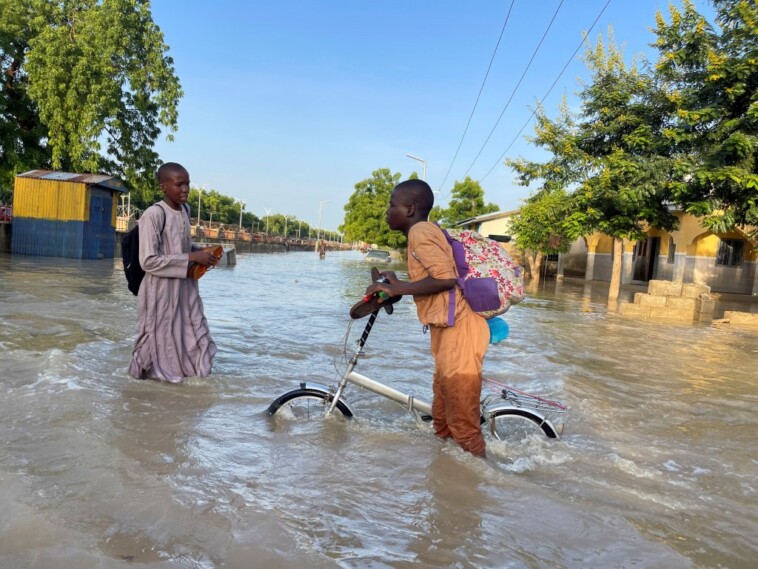 deadly-flooding-in-africa-leaves-corpses-of-crocodile,-snakes-floating-among-human-bodies