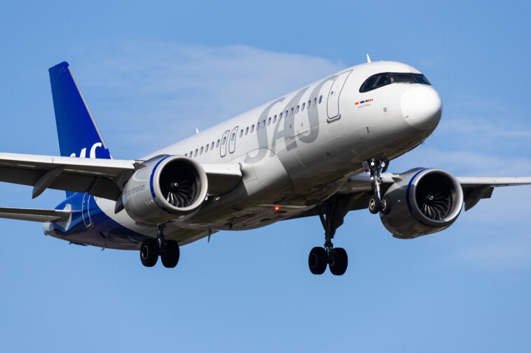 squeak-attack!-airplane-forced-to-land-after-mouse-jumps-out-of-passenger’s-meal