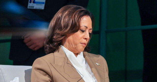 donald-trump:-kamala-harris-could-not-connect-one-american-to-internet-as-‘broadband-czar’