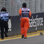 formula-1-practice-race-suspended-after-large-lizard-invades-the-track-ahead-of-singapore-grand-prix