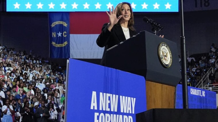 harris-trump-cash-dash:-this-presidential-candidate-holds-fundraising-edge-in-final-stretch