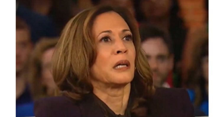 kamala-harris-faces-fierce-criticism-from-cnn:-could-this-be-a-turning-point-in-her-2024-campaign?