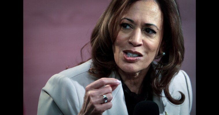 how’s-she-going-to-explain-this-one?-resurfaced-video-shows-kamala-appointed-as-border-czar-goes-viral