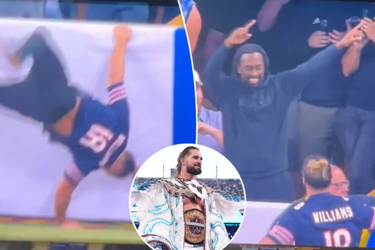 wwe’s-seth-rollins-gets-dumped-onto-field-by-ty.-hilton-during-colts-bears-game