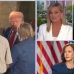 watch:-fox-news’s-sandra-smith-embarrasses-kamala-harris-lackey-and-makes-her-implode-after-asking-pointed-questions-about-harris’s-‘plan’-to-lower-prices