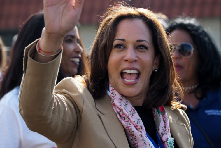 before-kamala’s-tough-talk-on-border-security,-she-yelled-‘down-with-deportation’