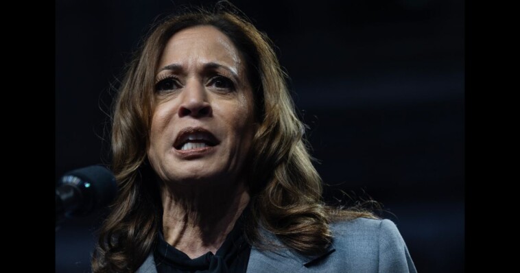 741-former-national-security-officials-make-melodramatic-kamala-harris-endorsement-in-eerily-familiar-move