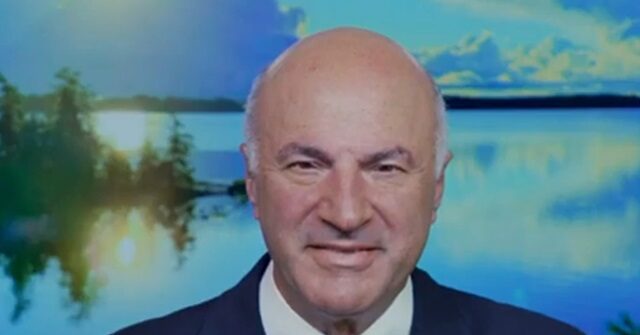 o’leary:-harris-lack-of-economic-details-‘really-big-sticking-point-with-investors’