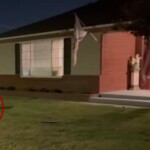 90-year-old-man-violently-attacked-in-his-own-yard-over-trump-signs