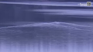 new-footage-suggests-there-may-be-two-loch-ness-monsters:-‘not-a-coincidence’