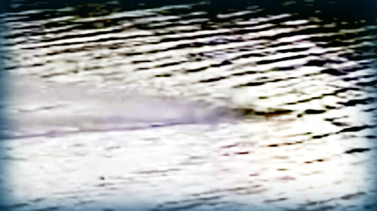 watch:-footage-suggests-there-are-currently-two-loch-ness-monsters