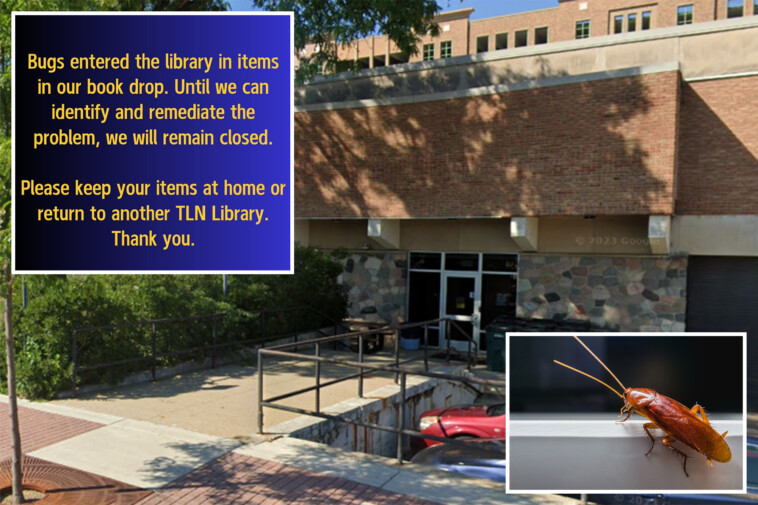 michigan-library-shuts-down-after-bugs-burst-out-of-dvd-case-in-book-return-box