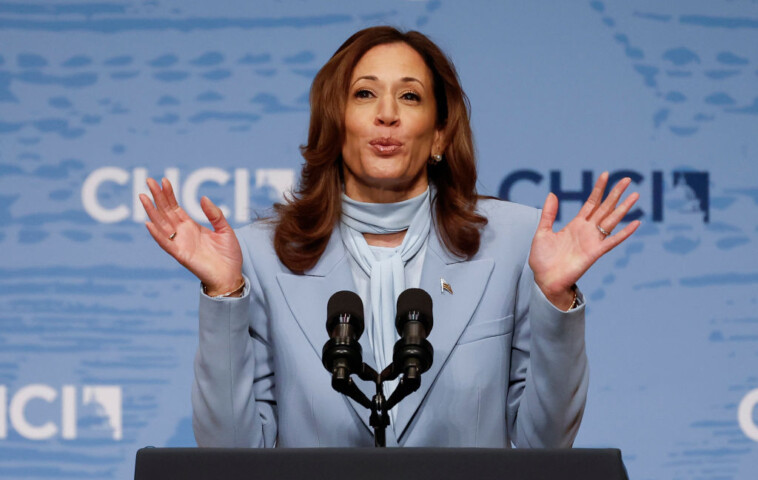 kamala-agrees-to-interview-with-msnbc-anchor-who-argued-she-didn’t-have-to-take-tough-questions