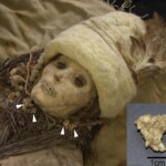 dna-from-world’s-oldest-cheese-extracted-from-an-unusual-source-—-mummies