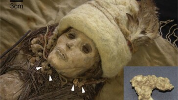 dna-from-world’s-oldest-cheese-extracted-from-an-unusual-source-—-mummies