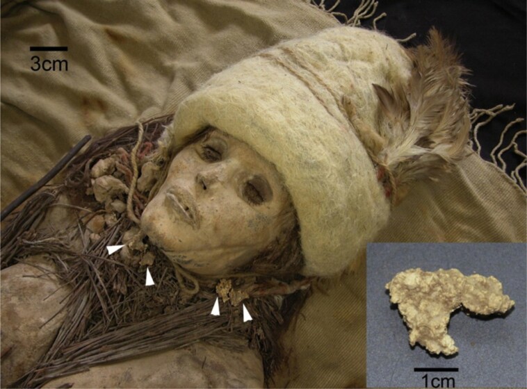 dna-from-world’s-oldest-cheese-extracted-from-an-unusual-source-—-mummies