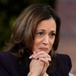 msnbc’s-ruhle:-harris-‘didn’t-want-to-get-deep-on’-her-tariff-plan-when-i-interviewed-her