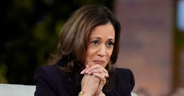 msnbc’s-ruhle:-harris-‘didn’t-want-to-get-deep-on’-her-tariff-plan-when-i-interviewed-her