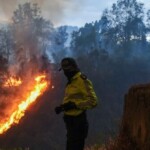 ecuador’s-president-bails-on-un.-shortly-before-speech-to-address-massive-forest-fire