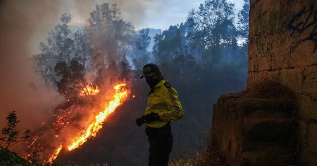 ecuador’s-president-bails-on-un.-shortly-before-speech-to-address-massive-forest-fire