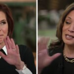 ‘bizarre’-setting-for-kamala-harris-msnbc-interview-earns-widespread-mockery:-‘just-hilarious’