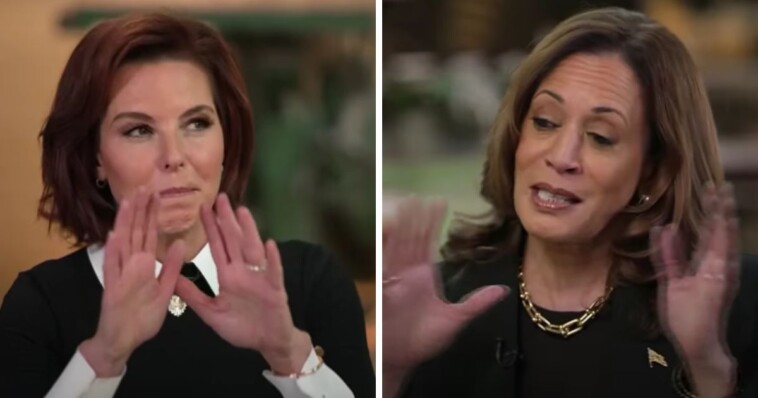 ‘bizarre’-setting-for-kamala-harris-msnbc-interview-earns-widespread-mockery:-‘just-hilarious’