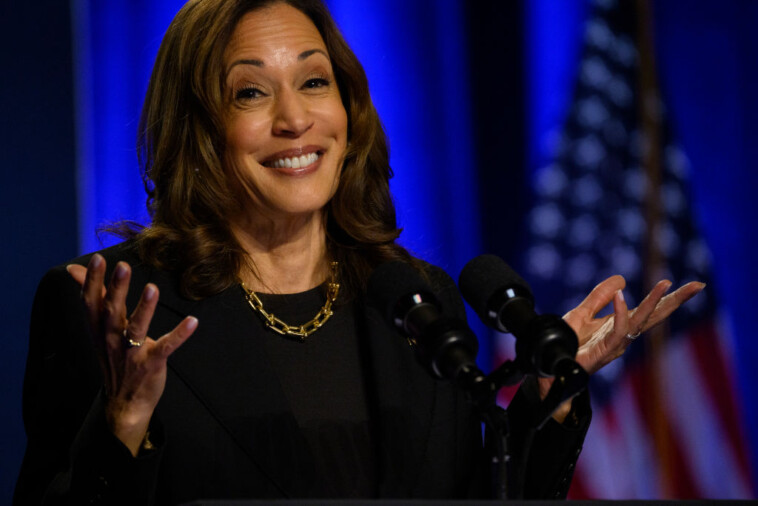 new-york-times-dismantles-kamala-after-msnbc-interview:-‘repeatedly-dodged-direct-questions’