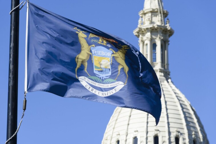 michigan-lawmakers-create-anonymous-tip-line-for-children-to-report-‘improperly’-stored-guns