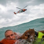 coast-guard-rescues-sailor-and-his-dog-after-36-foot-sailboat-disabled-off-florida-coast-as-hurricane-helene-barreled-toward-land