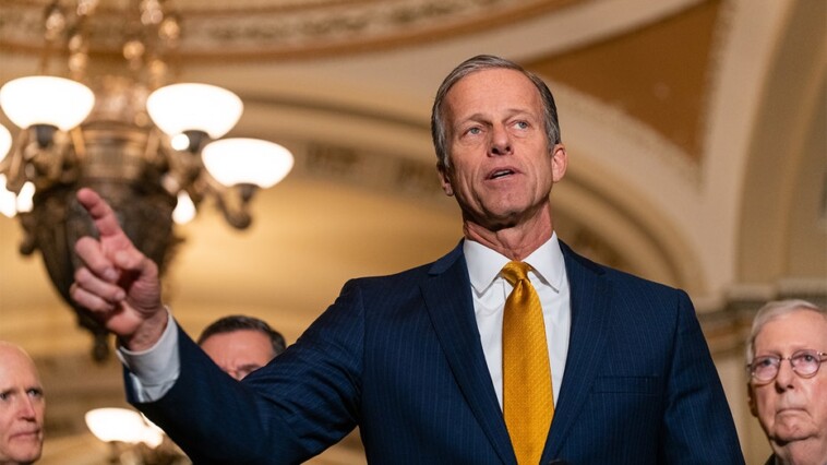 as-leader-race-looms,-john-thune-takes-senate-map-by-storm-to-boost-gop-candidates