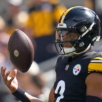 steelers’-justin-fields-reveals-which-teams-expressed-interest-in-acquiring-his-services-this-past-offseason